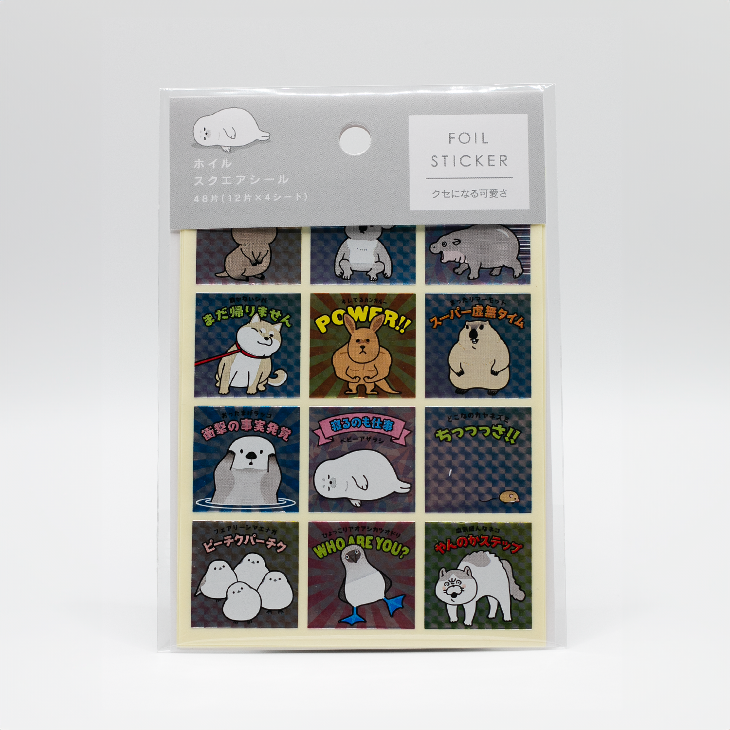 SET STICKERS Foil square stickers irresistibly cute